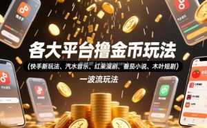 各大平台撸金币玩法(快手新玩法、汽水音乐、红果漫剧、番茄小说、木叶短剧)，一波流玩法(收费398元的教程)