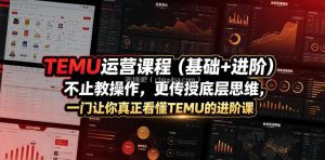 TEMU运营课程(基础+进阶)，不止教操作，更传授底层思维，一门让你真正看懂TEMU的进阶课