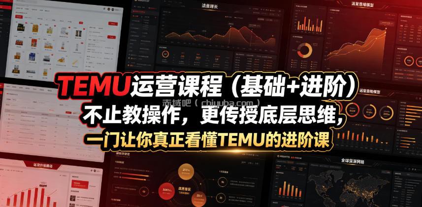 TEMU运营课程(基础+进阶)，不止教操作，更传授底层思维，一门让你真正看懂TEMU的进阶课