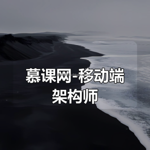 慕课网-移动端架构师(30周完结)