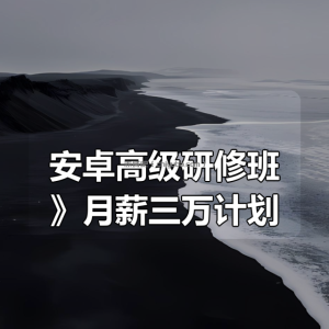 《安卓高级研修班(网课)》月薪三万计划