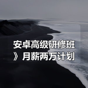 《安卓高级研修班(网课)》月薪两万计划