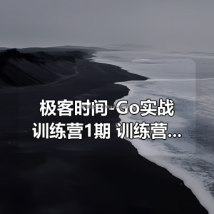 极客时间-Go实战训练营1期 |价值6999元|完结无秘16周