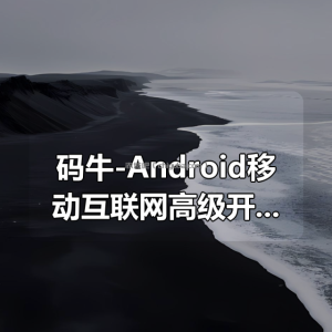 码牛-Android移动互联网高级开发正式课