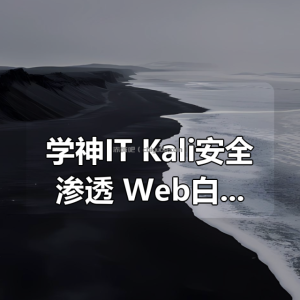 学神IT | Kali安全渗透+Web白帽子高级工程师+黑客攻防