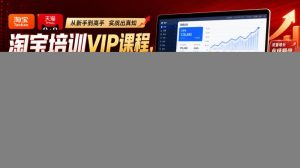 淘宝培训VIP课程，各种经典有用的流量获取秘籍，从淘宝新店到天猫店铺的实战教程(更新7月)
