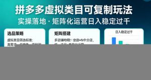 拼多多虚拟类目可复制玩法，实操落地，矩阵化日入稳定过千【揭秘】
