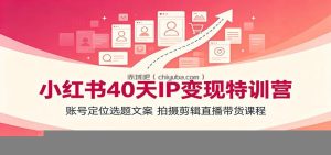 小红书40天IP变现特训营：账号定位选题文案，拍摄剪辑直播带货课程