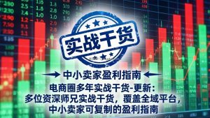 电商圈多年实战干货-更新4月：多位资深师兄实战干货，覆盖全域平台，中小卖家可复制的盈利指南