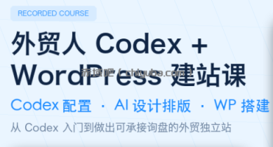 外贸人Codex + WordPress建站课