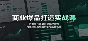 商业爆品打造实战课：拆解各行各业头部品牌案例，吃透爆款底层逻辑落地运营教程