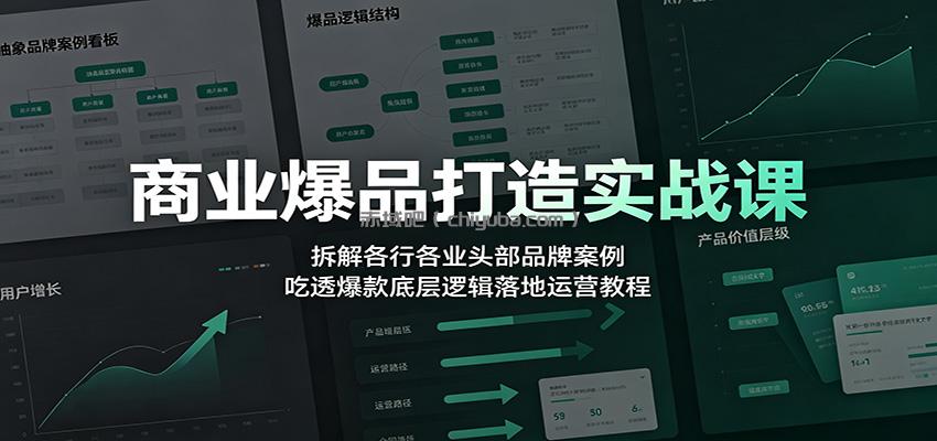 商业爆品打造实战课:拆解各行各业头部品牌案例,吃透爆款底层逻辑落地运营教程