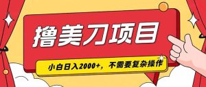 撸美刀，单日收入2000+，小白可做
