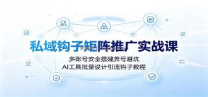 私域钩子矩阵推广实战课：多账号安全搭建养号避坑，AI工具批量设计引流钩子教程