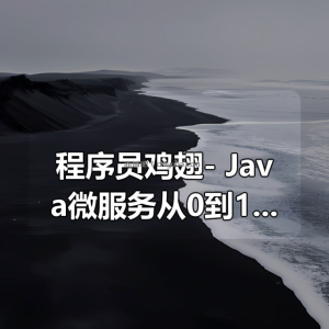 程序员鸡翅- Java微服务从0到1带你做社区项目实战