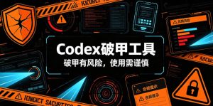Codex破甲工具，破甲有风险，使用需谨慎