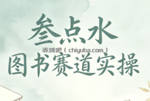 叁点水图书赛道实操