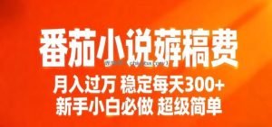 番茄小说赚稿费稳定300+每天，实操落地两年，新手小白必做，超级简单！