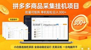拼多多商品信息全自动采集项目，批量可矩阵，单机轻松日入300+，无需云机一台电脑开干【揭秘】