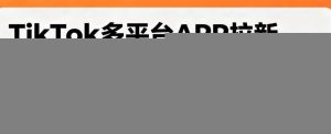 TikTok多平台APP拉新，完整流程教学，新手也能上手，轻松出海搞美金