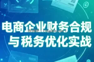 电商企业财务合规与税务优化实战