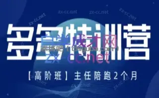 纪主任·拼多多特训营(更新8月)