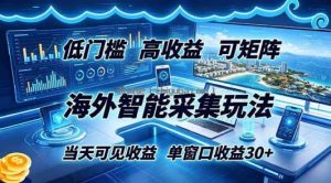 海外智能采集玩法，低门槛高单价可矩阵，当天可见收益，单窗口30+