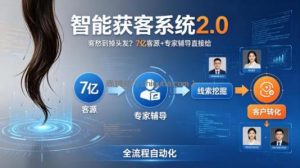 客愁到掉头发？智能获客系统2.0，7亿客源+专家辅导直接给，实现从线索挖掘到客户转化的全流程自动化