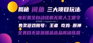 闲鱼三种玩法 全自动电影票 售卖游戏账号 爆品选品库训练营