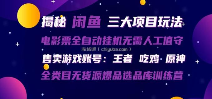 闲鱼三种玩法 全自动电影票 售卖游戏账号 爆品选品库训练营