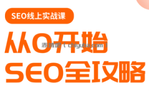 若凡老师·谷歌SEO实操课(更新)