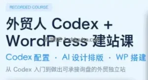 大卫·外贸人Codex + WordPress建站课(更新8月)