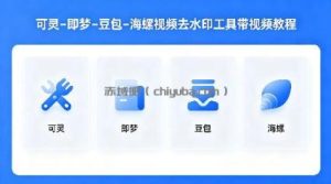 可灵–即梦–豆包–海螺视频去水印工具带视频教程