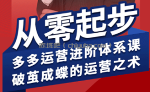 海神·拼多多运营进阶系统课(更新2026)
