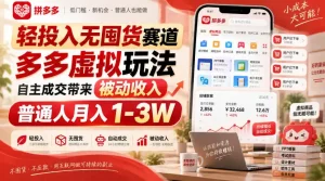 轻投入无囤货赛道，多多虚拟玩法自主成交带来被动收入，普通人月入1-3W