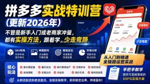 拼多多实战特训营(更新26年9月