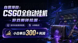 自营项目：CSGO全自动挂G，游戏搬砖捡漏，软件科技简单易用，长期稳定，小白单日300+利润【揭秘】