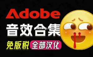 请称爆硬盘！Adobe 和 达芬奇 官方提供的高品质免版税音效库， 10000+ 免费商用音效合集，已离线打包
