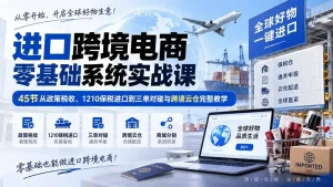 进口跨境电商零基础系统实战课：45节从政策税收、1210保税进口到三单对碰与跨境云仓完整教学