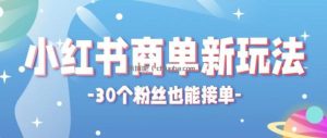 合新手小白操作的小红书商单新玩法，低粉丝也能接单，一个月接三单赚了150+！