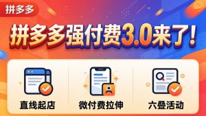 拼多多强付费3.0来了(更新4月