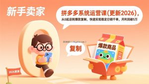 拼多多系统运营课(更新4月