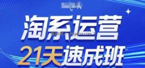 淘系运营21天速成班，0基础轻松搞定淘系运营，不做假把式，快速复制落地(更新26年4月)