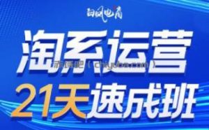 白凤电商·淘系运营21天速成班(更新4月)