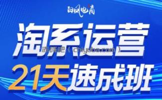 白凤电商·淘系运营21天速成班(更新4月)