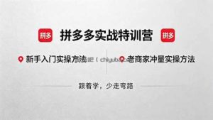 拼多多实战特训营(更新5月3