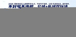 2026最新淘宝无人直播带货14.0，不封号不违规，公域+私域双玩法，操作简单，日入1k+实战教学【揭秘】