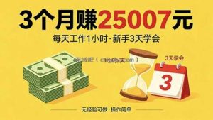 3个月赚钱25007元，每天工作1个小时，新手3天全部学会！
