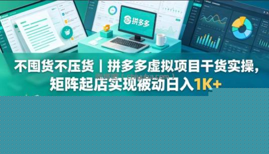 不囤货不压货｜拼多多虚拟项目干货实操，矩阵起店实现被动日入1K+【揭秘】
