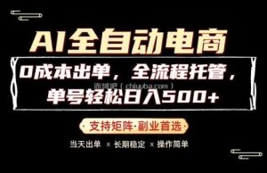0成本出单，全流程托管，单日轻松日入500+